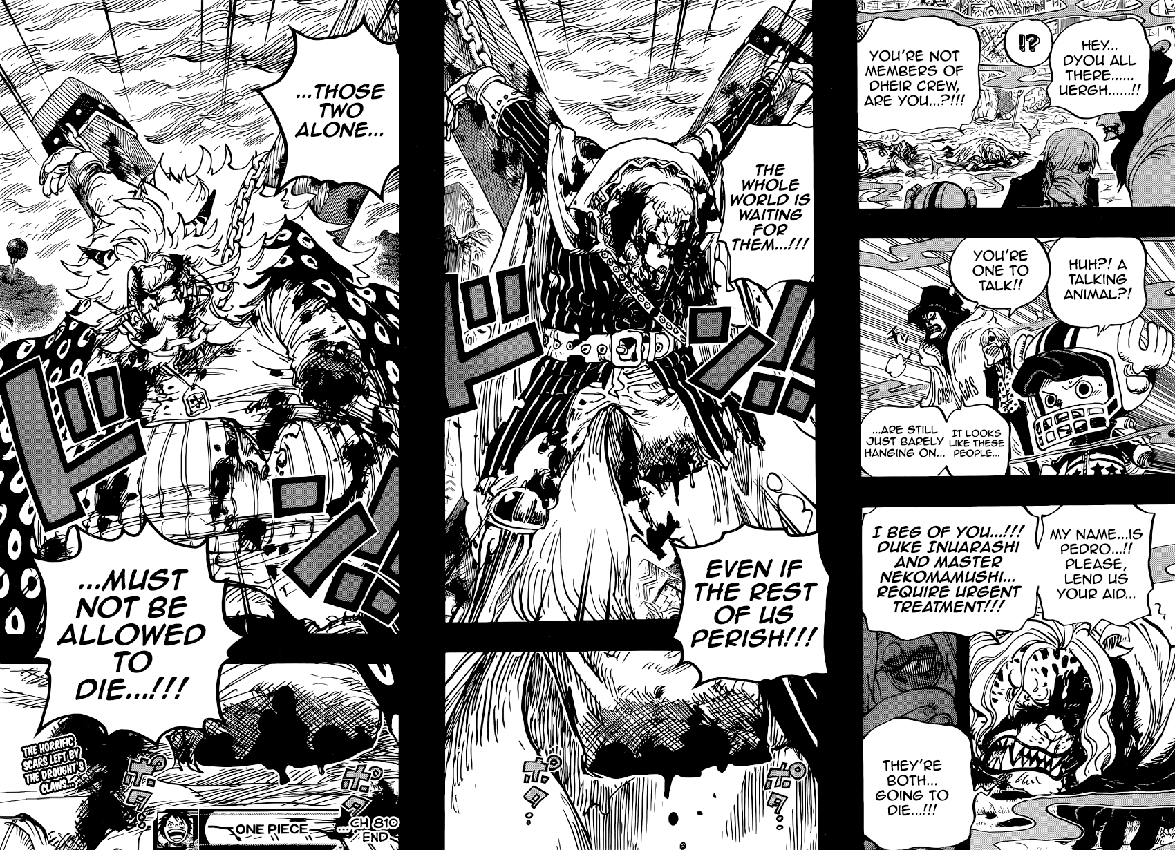 One Piece, Chapter 810 image 17